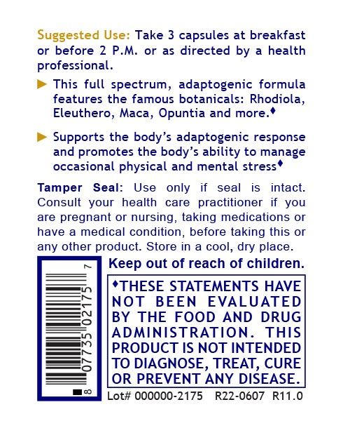 Adaptogen R3 (90 Capsules) by Premier Research Labs