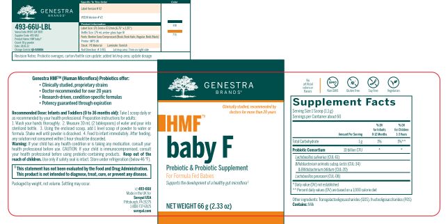 HMF Baby F (66 gr) by Genestra Brands